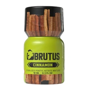 Brutus Cinnamon Small